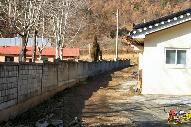 ��ſ� �ð� �Ǽ���