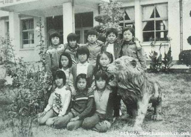 ��ſ� �ð� �Ǽ���