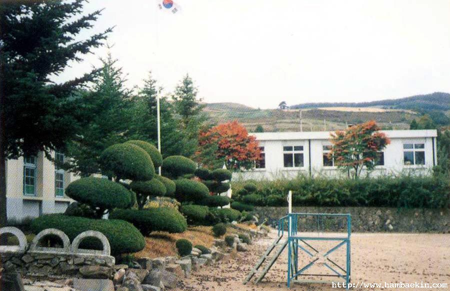 ��ſ� �ð� �Ǽ���