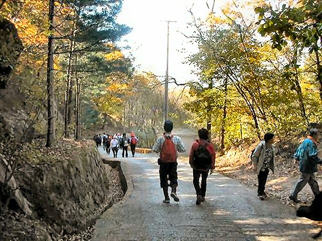 ��ſ� �ð� �Ǽ���