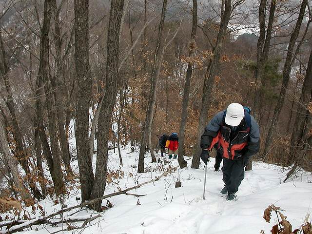 ��ſ� �ð� �Ǽ���