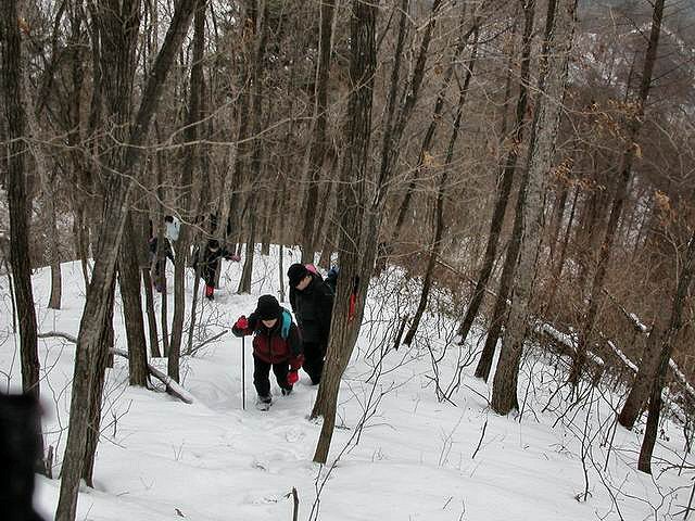 ��ſ� �ð� �Ǽ���