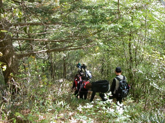 ��ſ� �ð� �Ǽ���