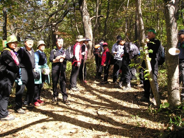 ��ſ� �ð� �Ǽ���