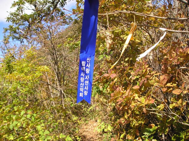 ��ſ� �ð� �Ǽ���