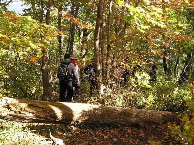 ��ſ� �ð� �Ǽ���