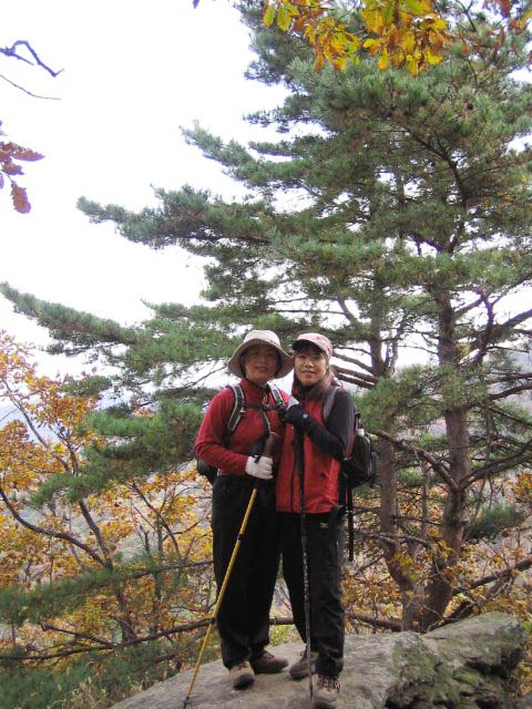 ��ſ� �ð� �Ǽ���