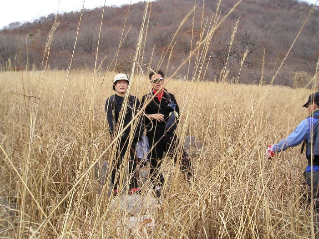 ��ſ� �ð� �Ǽ���