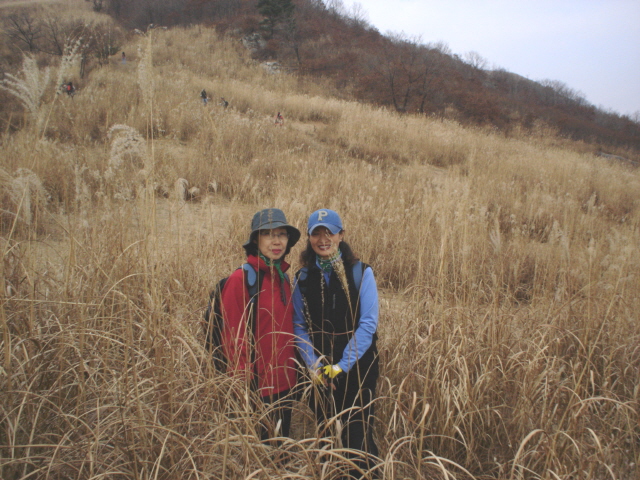 ��ſ� �ð� �Ǽ���