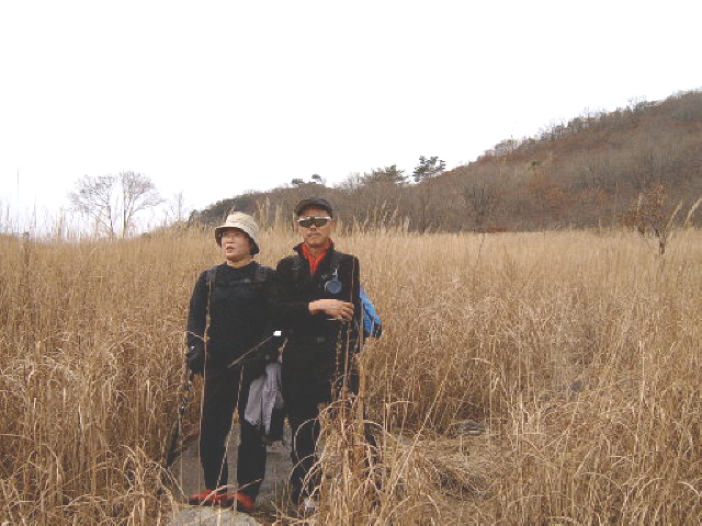 ��ſ� �ð� �Ǽ���