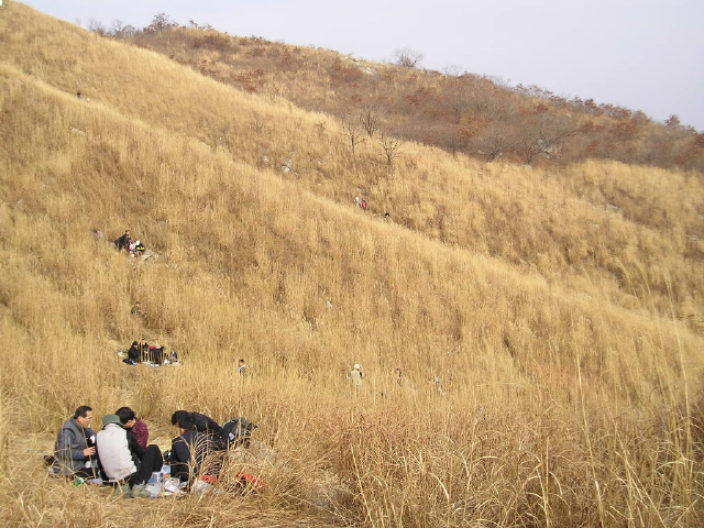 ��ſ� �ð� �Ǽ���