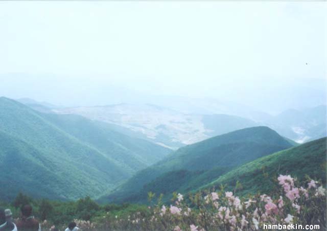 ��ſ� �ð� �Ǽ���