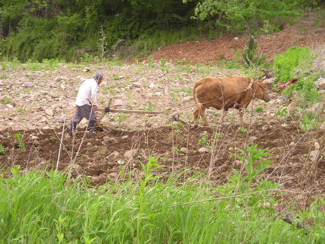 ��ſ� �ð� �Ǽ���