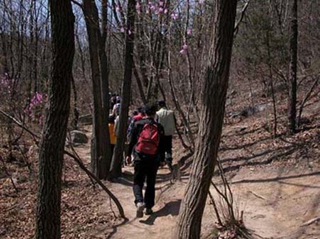 ��ſ� �ð� �Ǽ���