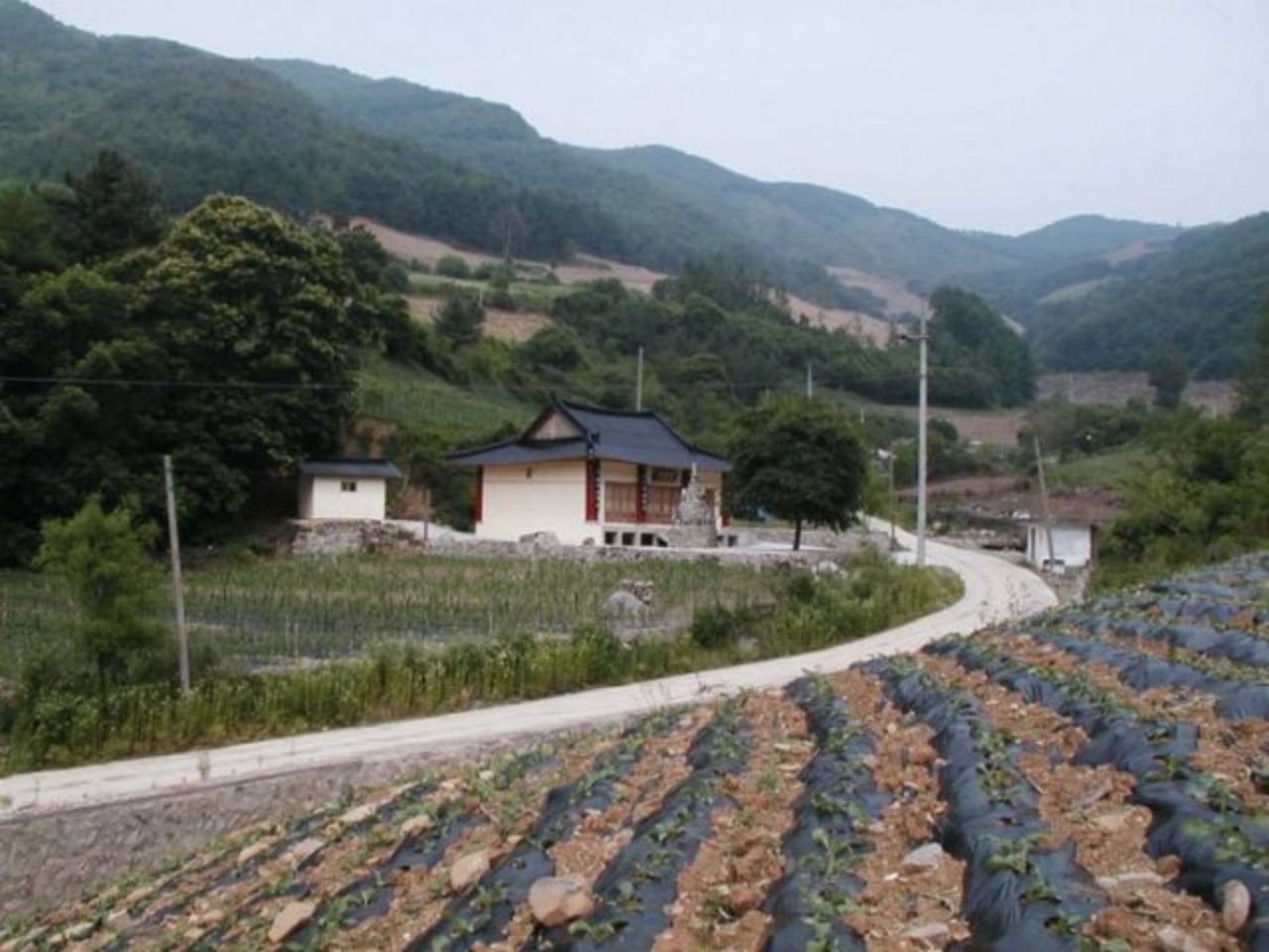 ��ſ� �ð� �Ǽ���