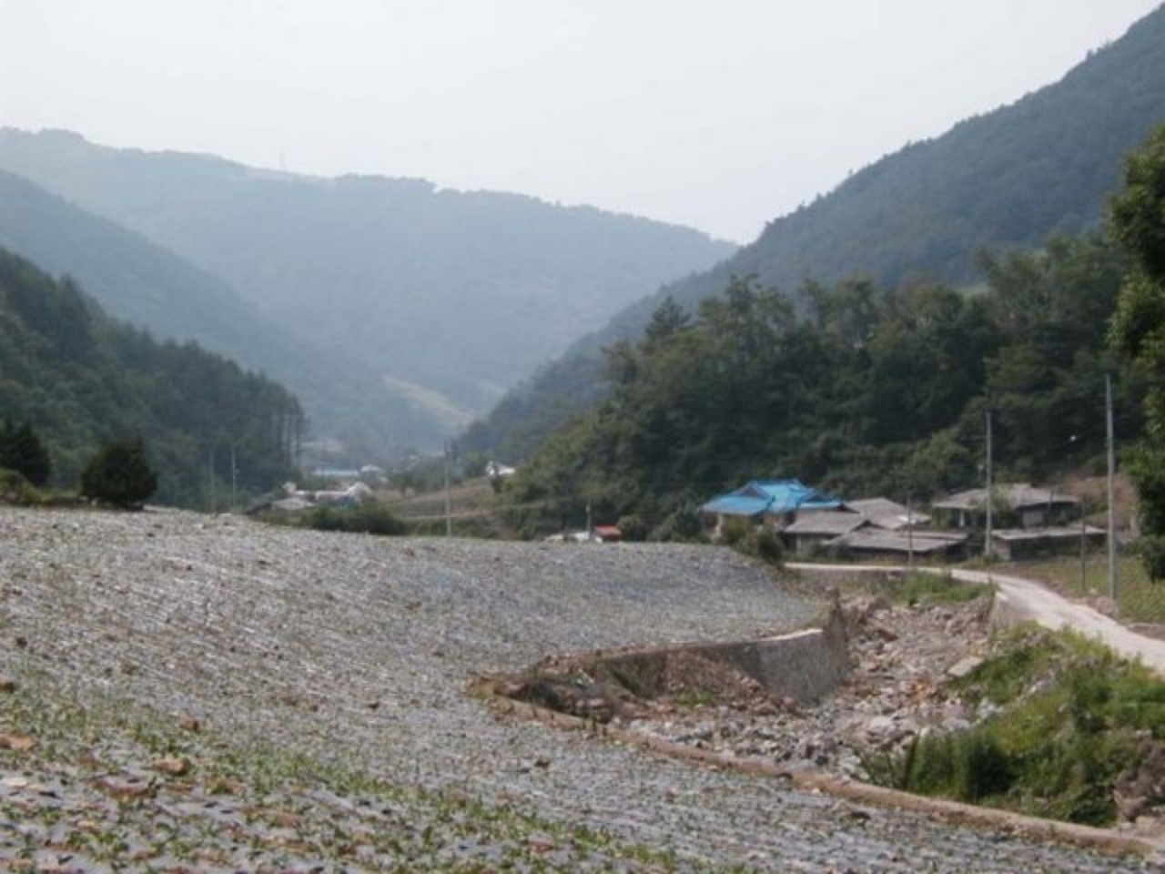 ��ſ� �ð� �Ǽ���