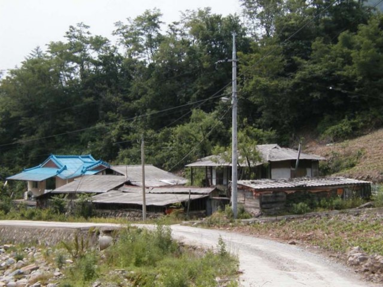 ��ſ� �ð� �Ǽ���