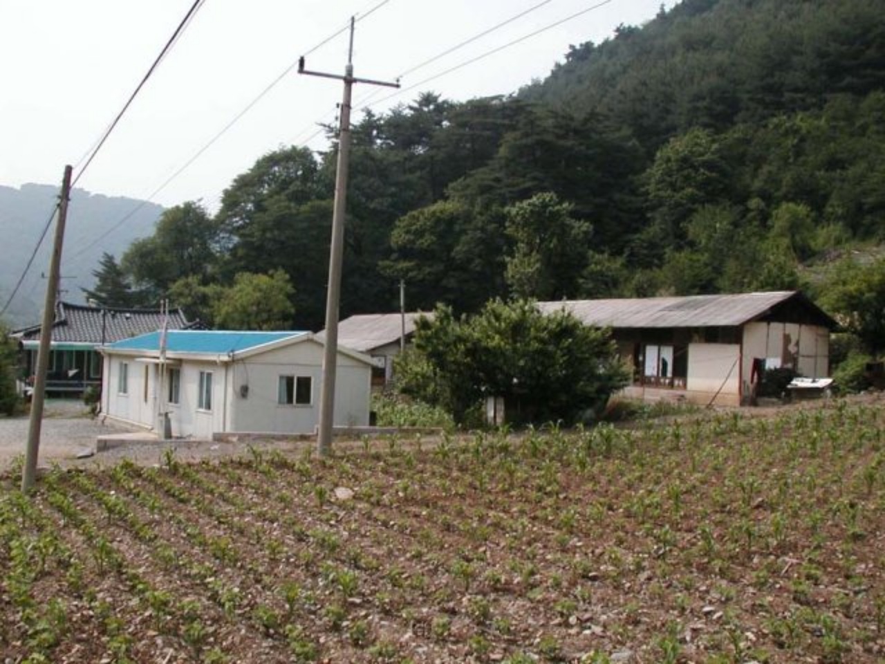 ��ſ� �ð� �Ǽ���