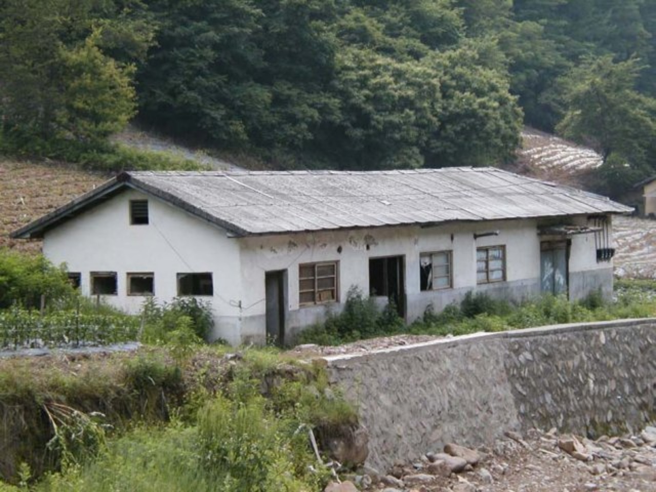 ��ſ� �ð� �Ǽ���