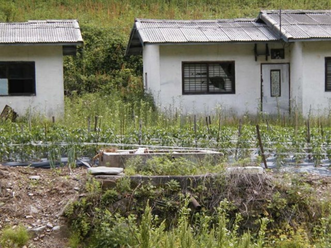 ��ſ� �ð� �Ǽ���