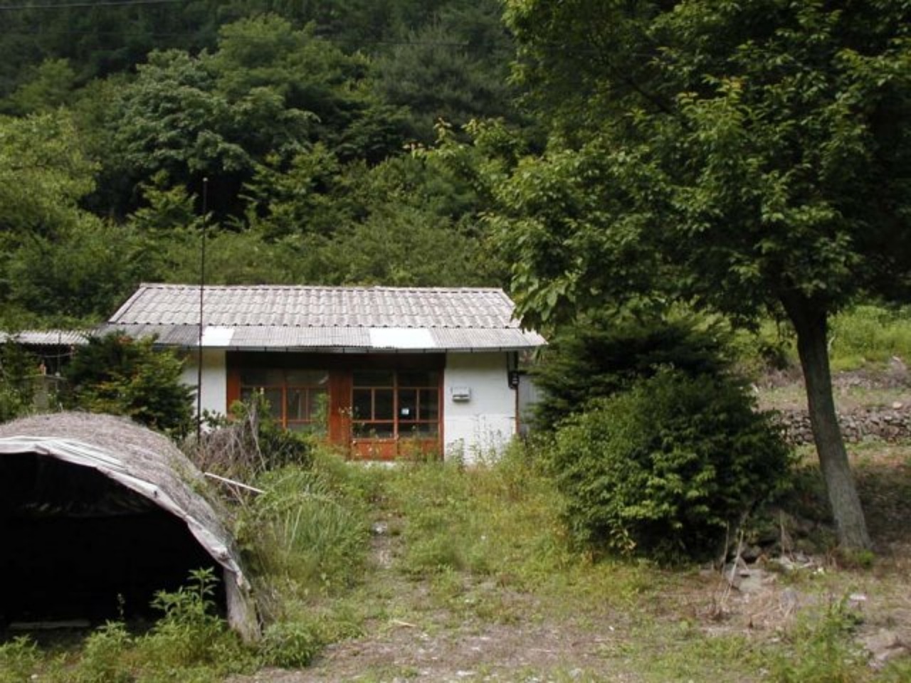 ��ſ� �ð� �Ǽ���