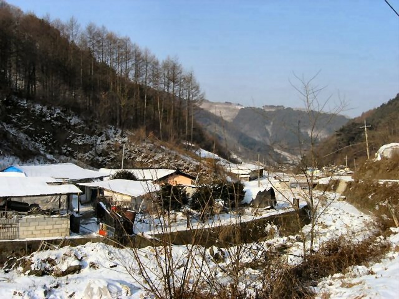 ��ſ� �ð� �Ǽ���