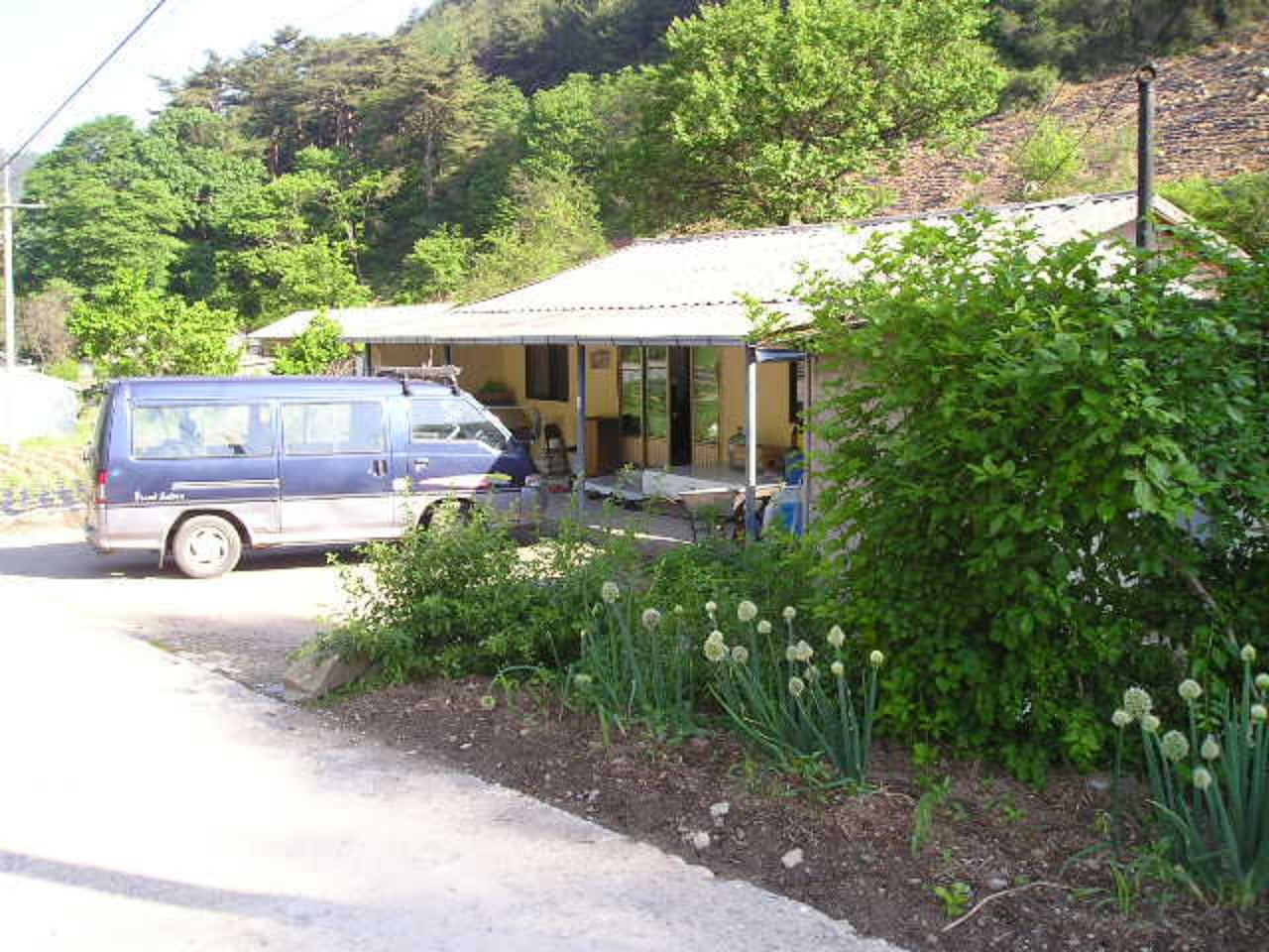 ��ſ� �ð� �Ǽ���