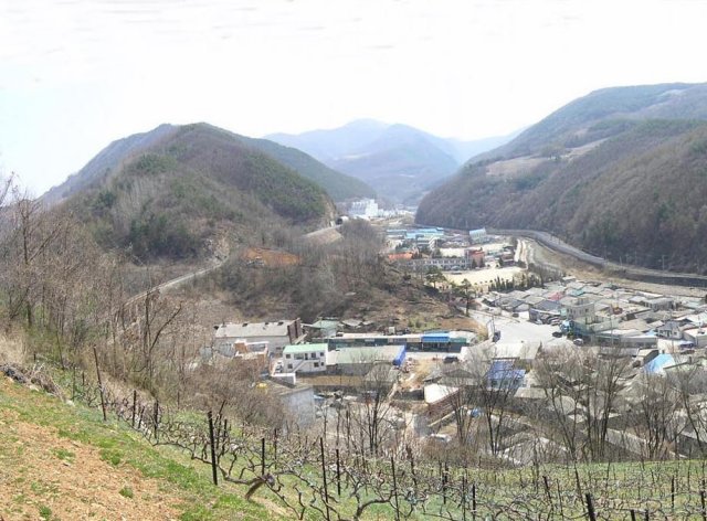 ��ſ� �ð� �Ǽ���