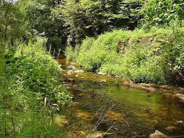 ��ſ� �ð� �Ǽ���