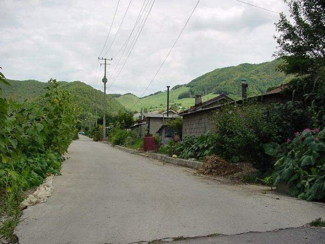 ��ſ� �ð� �Ǽ���