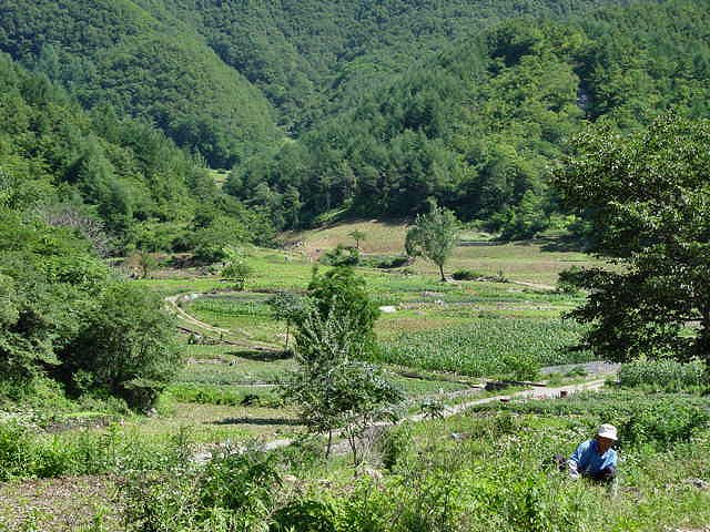 ��ſ� �ð� �Ǽ���