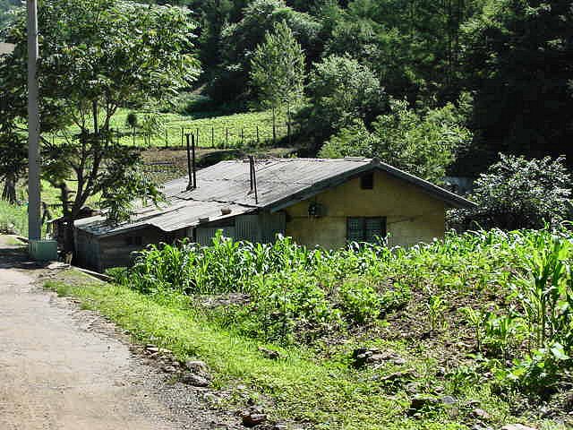 ��ſ� �ð� �Ǽ���