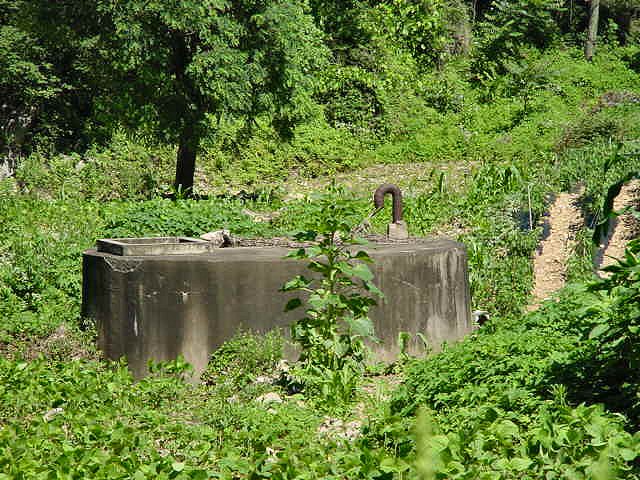 ��ſ� �ð� �Ǽ���