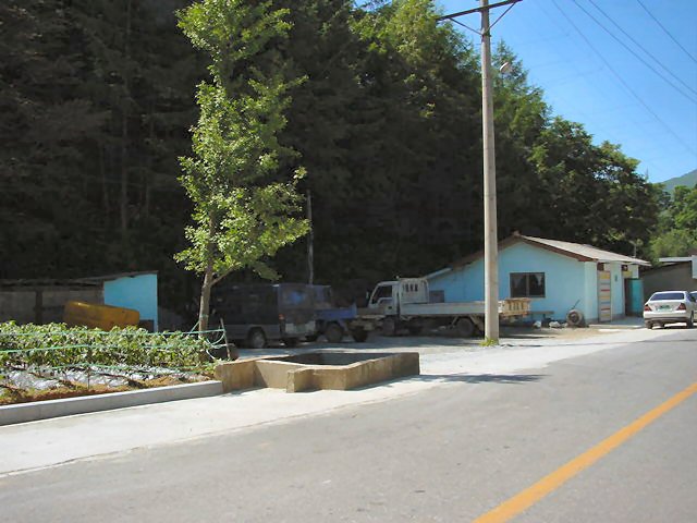 ��ſ� �ð� �Ǽ���