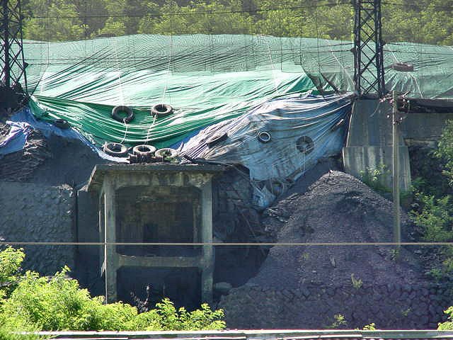 ��ſ� �ð� �Ǽ���