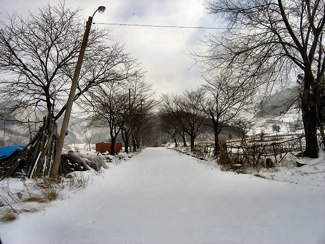 ��ſ� �ð� �Ǽ���