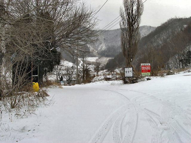 ��ſ� �ð� �Ǽ���