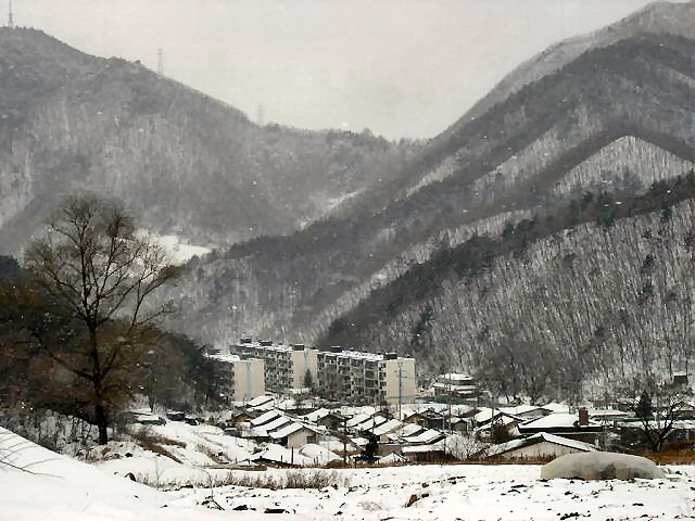 ��ſ� �ð� �Ǽ���