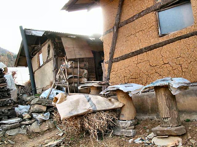 ��ſ� �ð� �Ǽ���