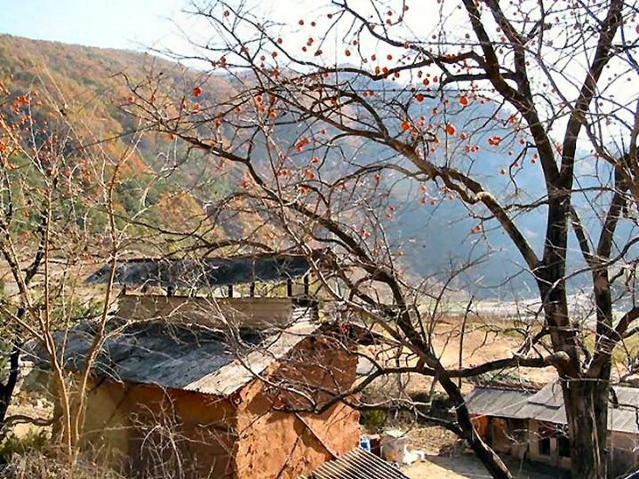 ��ſ� �ð� �Ǽ���