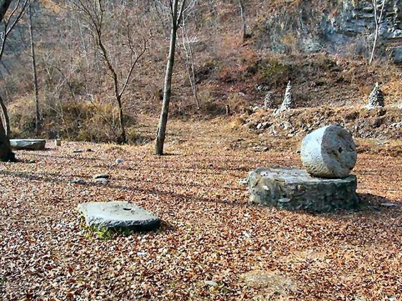 ��ſ� �ð� �Ǽ���