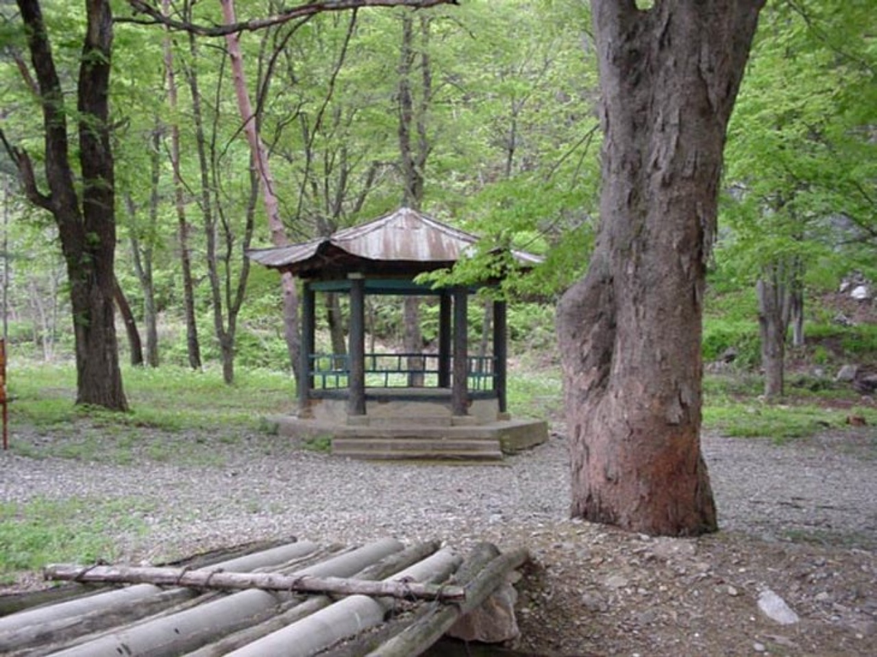 ��ſ� �ð� �Ǽ���