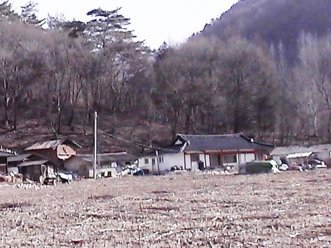 ��ſ� �ð� �Ǽ���