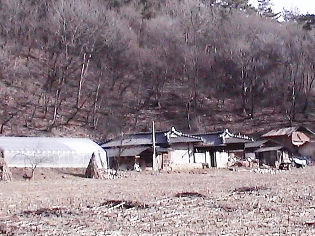 ��ſ� �ð� �Ǽ���