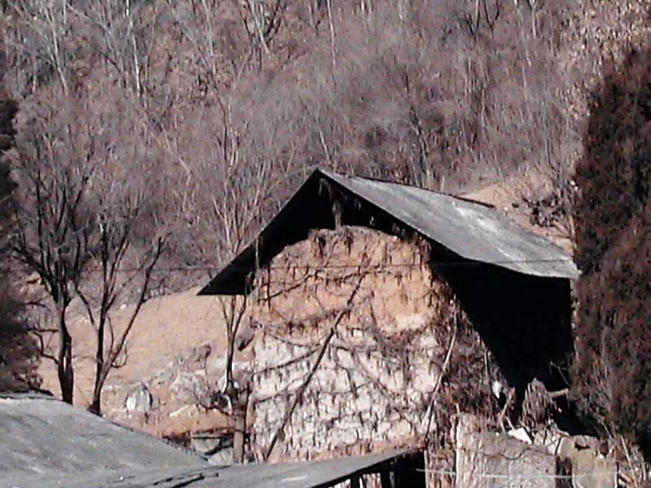 ��ſ� �ð� �Ǽ���