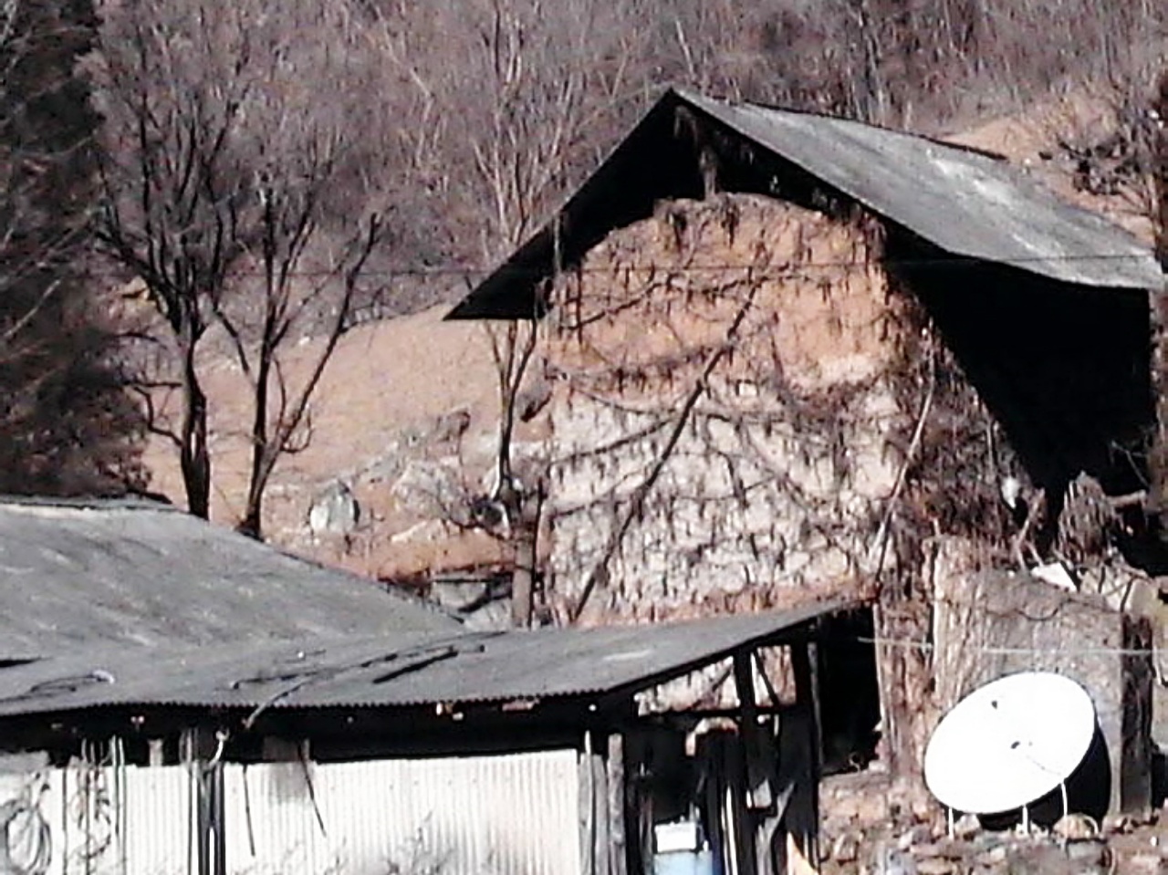 ��ſ� �ð� �Ǽ���