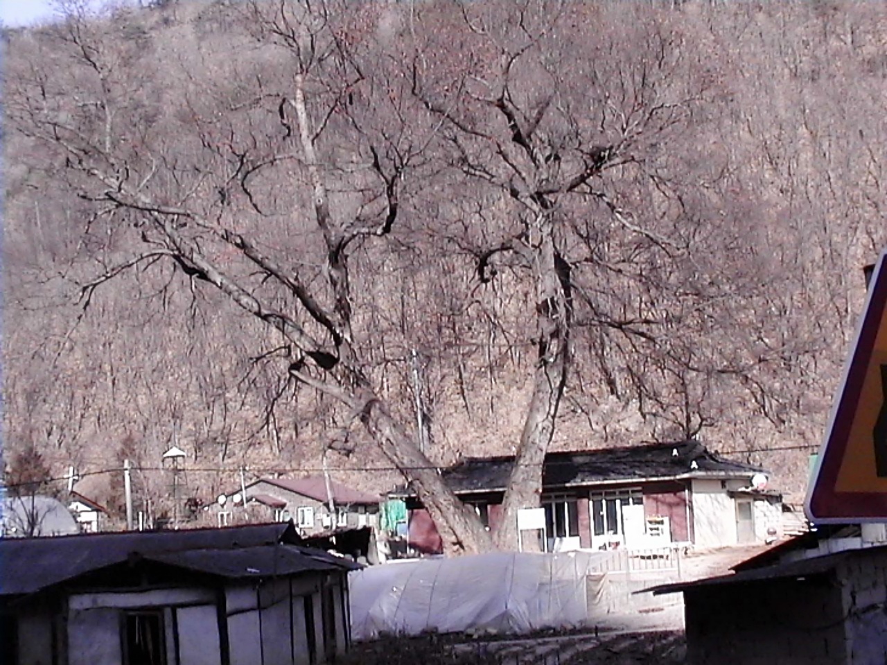 ��ſ� �ð� �Ǽ���