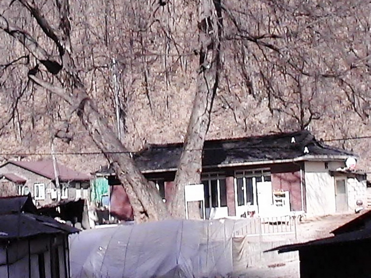 ��ſ� �ð� �Ǽ���