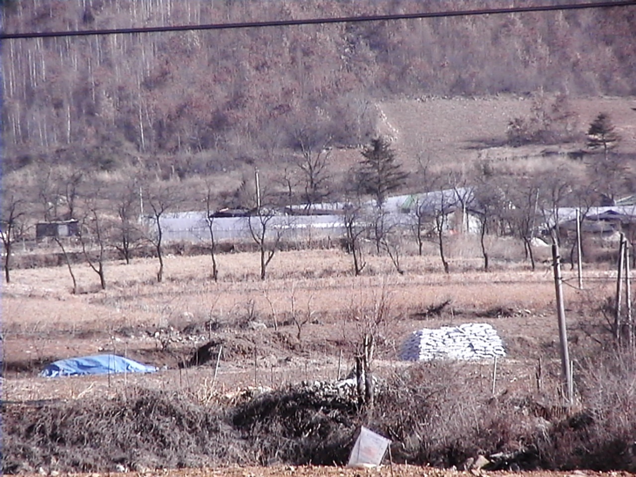 ��ſ� �ð� �Ǽ���