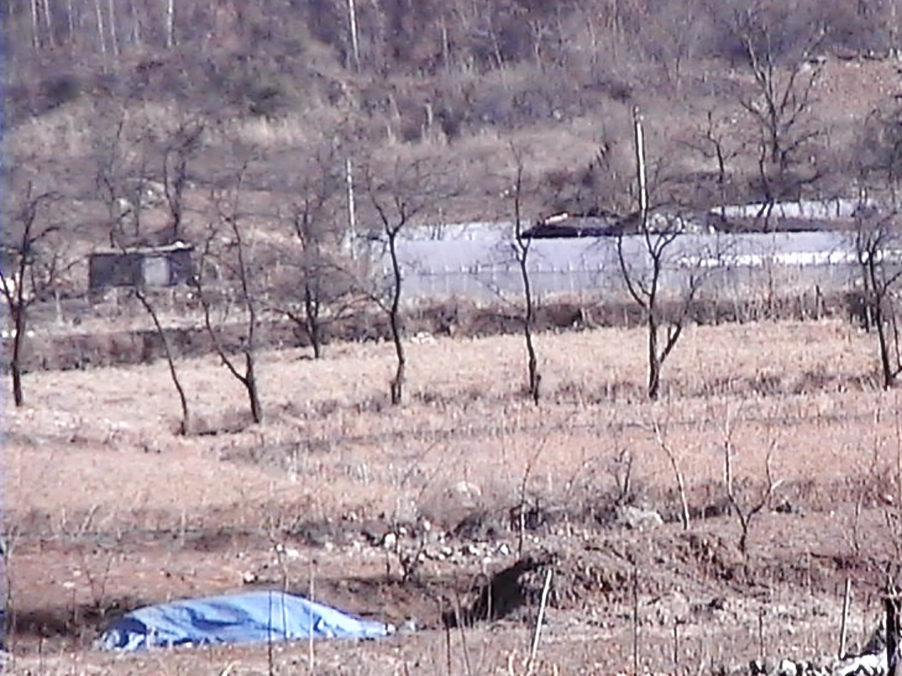 ��ſ� �ð� �Ǽ���